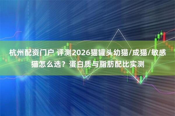 杭州配资门户 评测2026猫罐头幼猫/成猫/敏感猫怎么选？蛋白质与脂肪配比实测