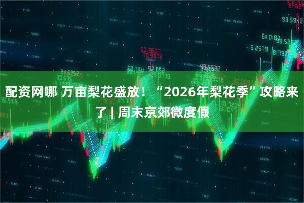配资网哪 万亩梨花盛放！“2026年梨花季”攻略来了 | 周末京郊微度假
