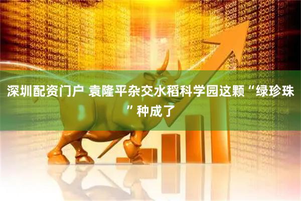 深圳配资门户 袁隆平杂交水稻科学园这颗“绿珍珠”种成了
